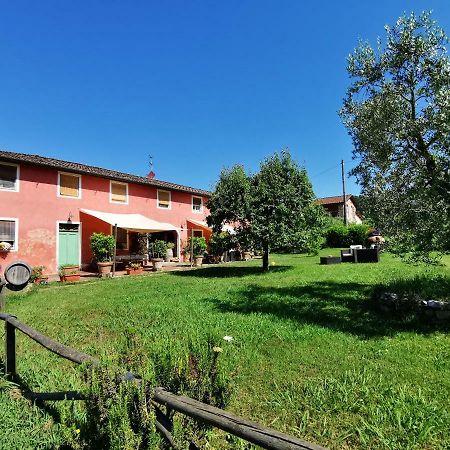 Agriturismo Al Podere Di Rosa Lucca Exteriör bild