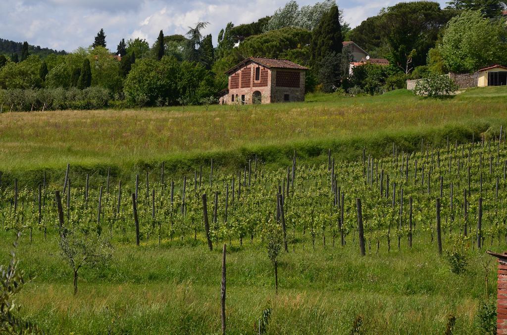 Agriturismo Al Podere Di Rosa Lucca Exteriör bild