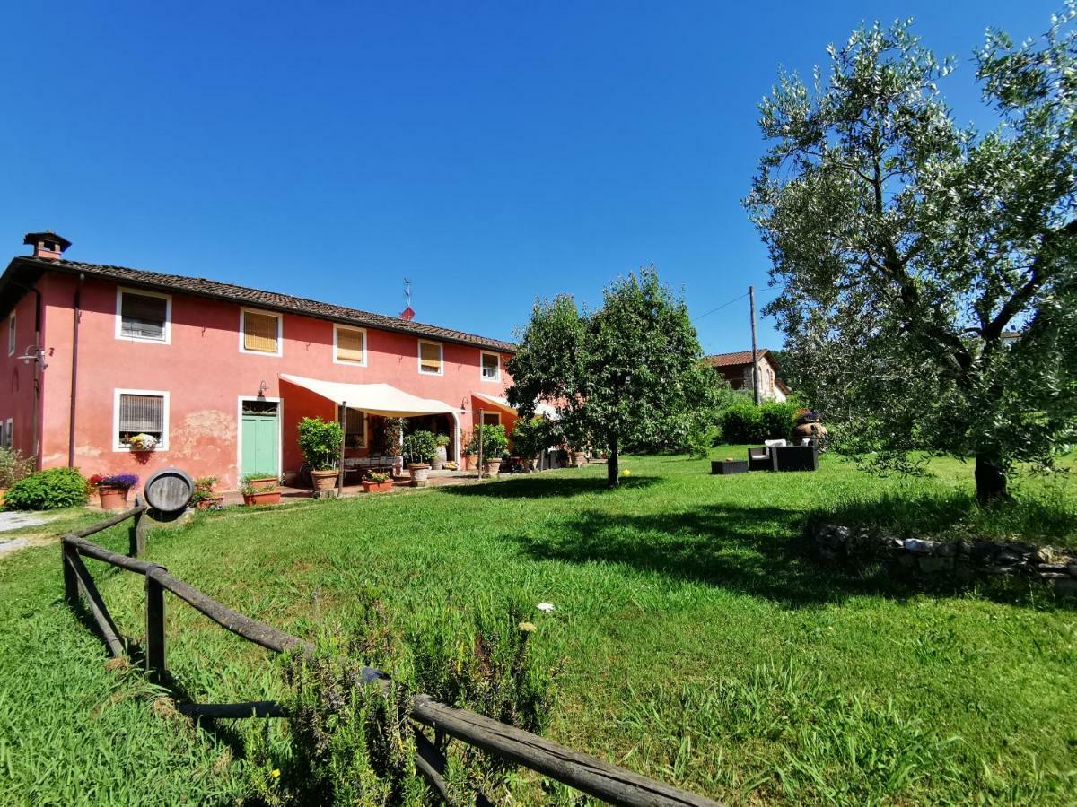 Agriturismo Al Podere Di Rosa Lucca Exteriör bild